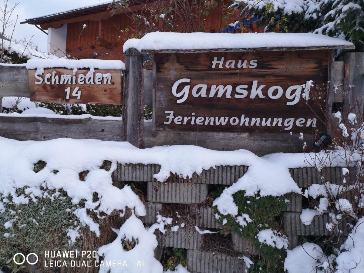 Haus Gamskogl Apartment นอยชติฟ อิม ชตูไปทัล ภายนอก รูปภาพ